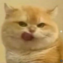 avatar once in a blue moon