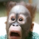 tooscared04#6480's avatar