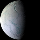 palemoon2035's Avatar