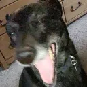 nathankopy9