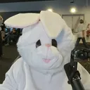 lapino_