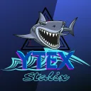alexilorganisateurdelasynex