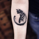 darkakiyama0713's Avatar