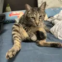 yvonne_1204