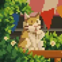 aesthezel