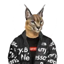 space_hater