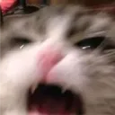 aleeeeeeeeeeeeeeeeeeeeeeeeeeeex
