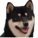 lan_chai_is_me_yee