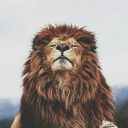 avatar ' 𝐀𝐅𝟗