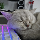 Discord Avatar