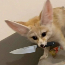 kyleperrysmith958's Avatar