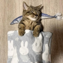 avatar silly cute boy