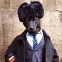 lobodoarticox