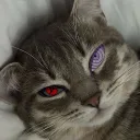 xanarchyeyeye