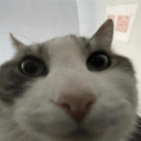 avatar IRanOutOfNames