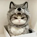 cutebrew