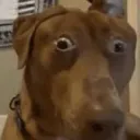 thatodddemon