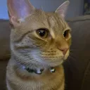 ohheyimbri