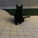 toolazyforausername7 avatar