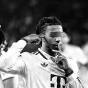 avatar mumi