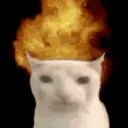 kalzua