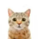 ertorew