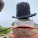 edvandokjk