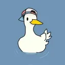 _hacek_