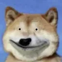 fenikjayce