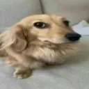 minthyj