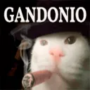 antosik767