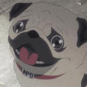 Pug-g