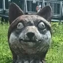 drenewoo