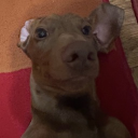 Reesy