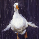 Discord Avatar