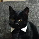 pinchcub