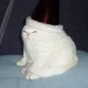 l0rd_bacon