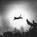 triggostrawhorn
