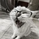 Аватар qluyshka