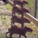 jaca8701#5711's avatar