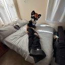 avatar Matthew “heh”