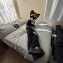 avatar Matthew “heh”