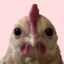 theothersunisfake
