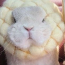 avatar Jake/Chill/Kind/Savage