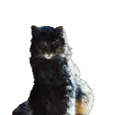 a_211099781de4e5f382dba0ac82f47099.webp?