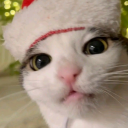 avatar 𝑀𝒾𝓈𝓉𝒶𝓀𝑒