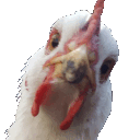 kaseke