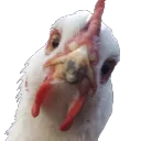 kaseke