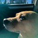 tundraready