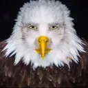 aybekaslan avatar